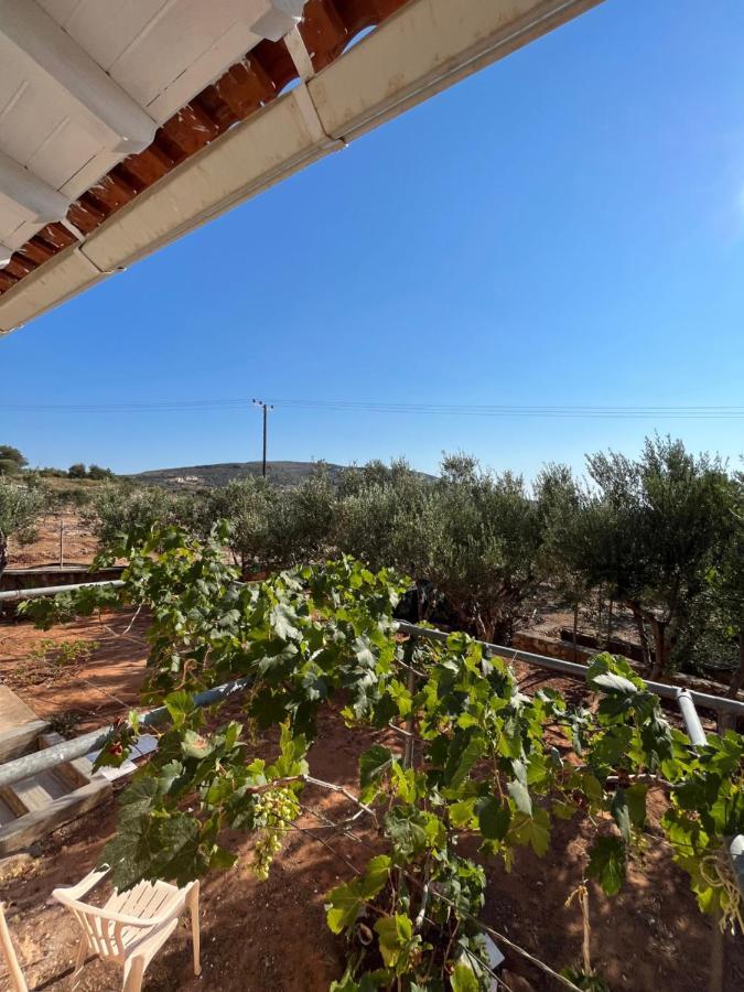 Appartamento Harry'S House Elafonissos Esterno foto