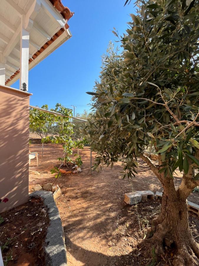 Appartamento Harry'S House Elafonissos Esterno foto