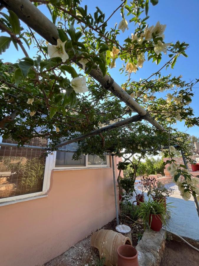 Appartamento Harry'S House Elafonissos Esterno foto